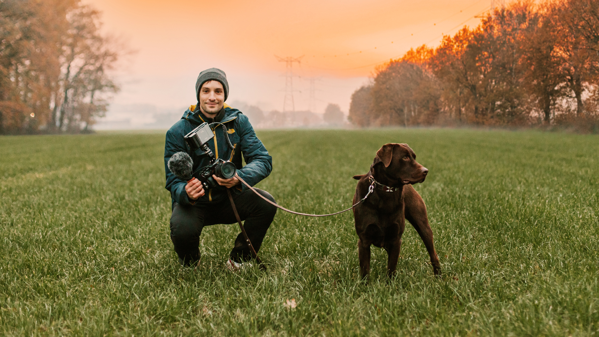 Sander Brebels My Next Dog